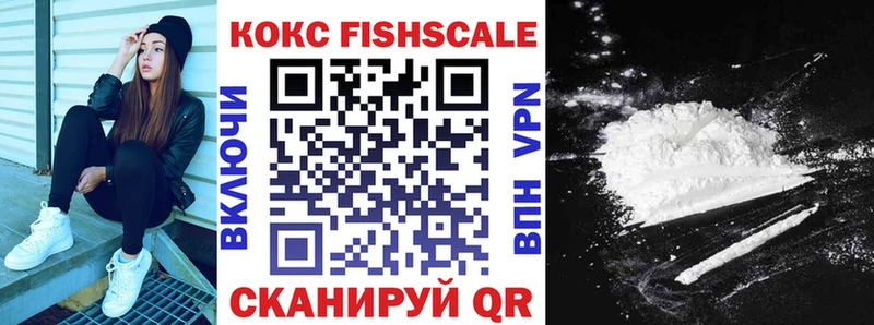 Cocaine Fish Scale  как найти закладки  Лукоянов 